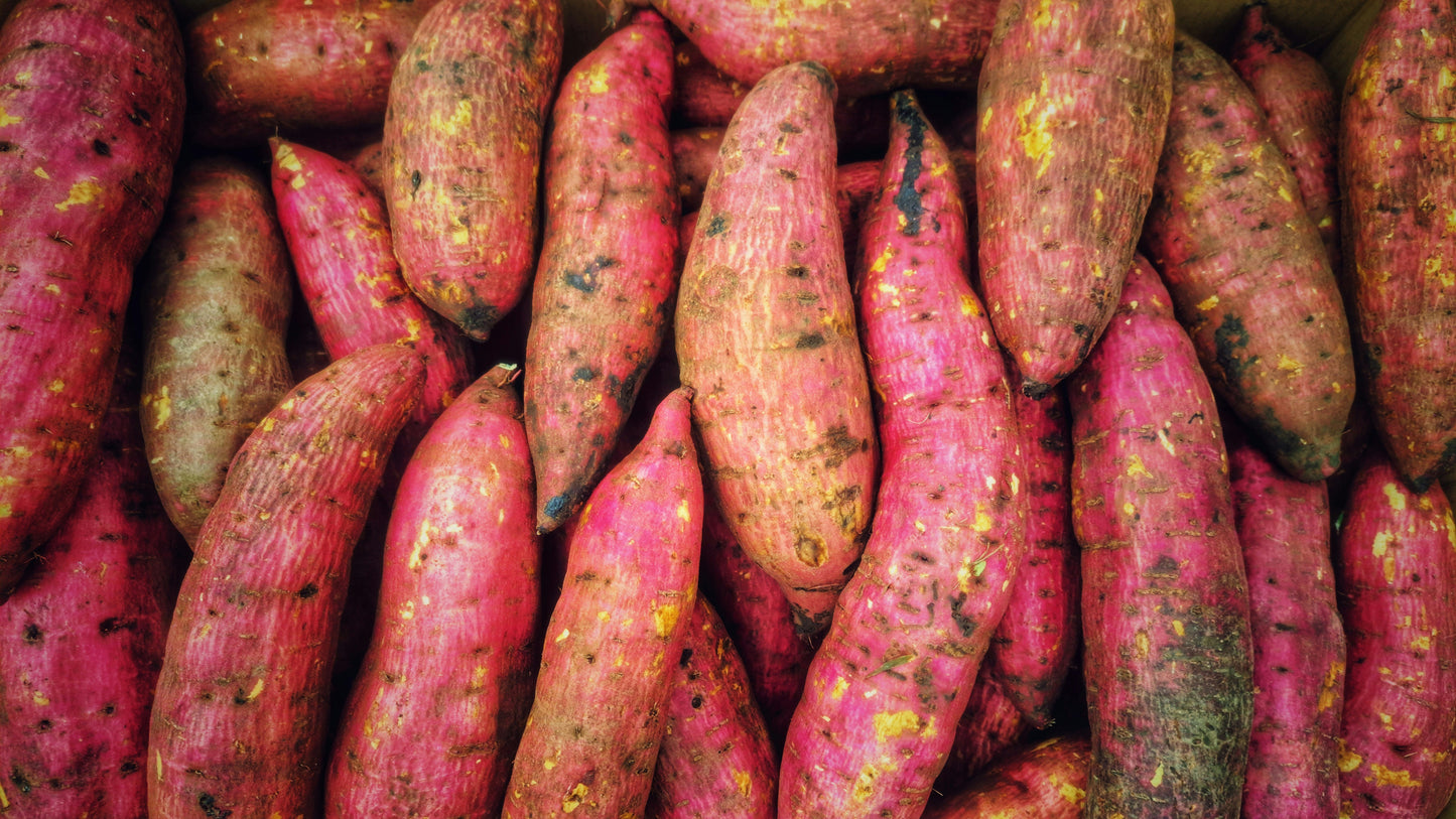 Sweet Potato