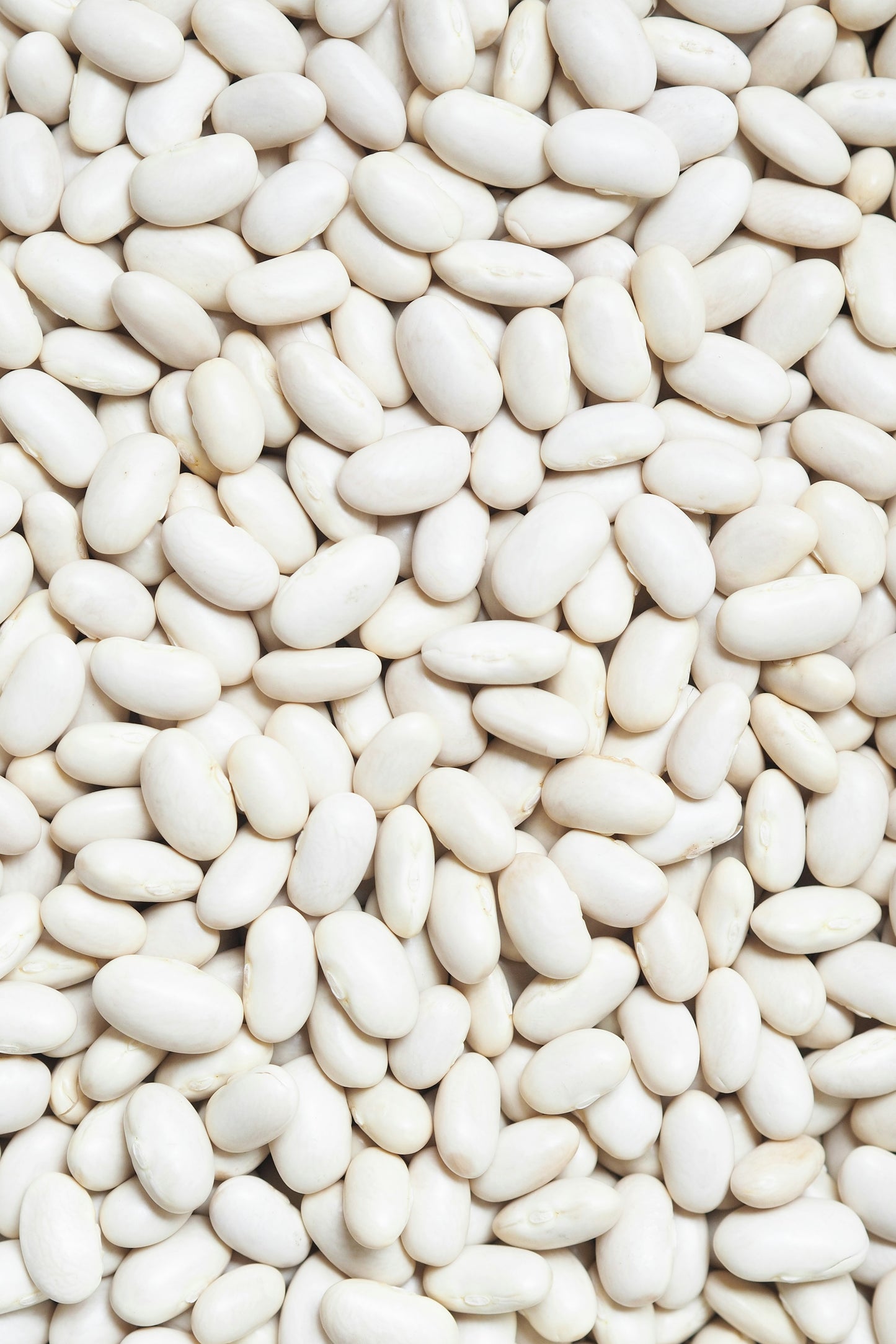 White Beans