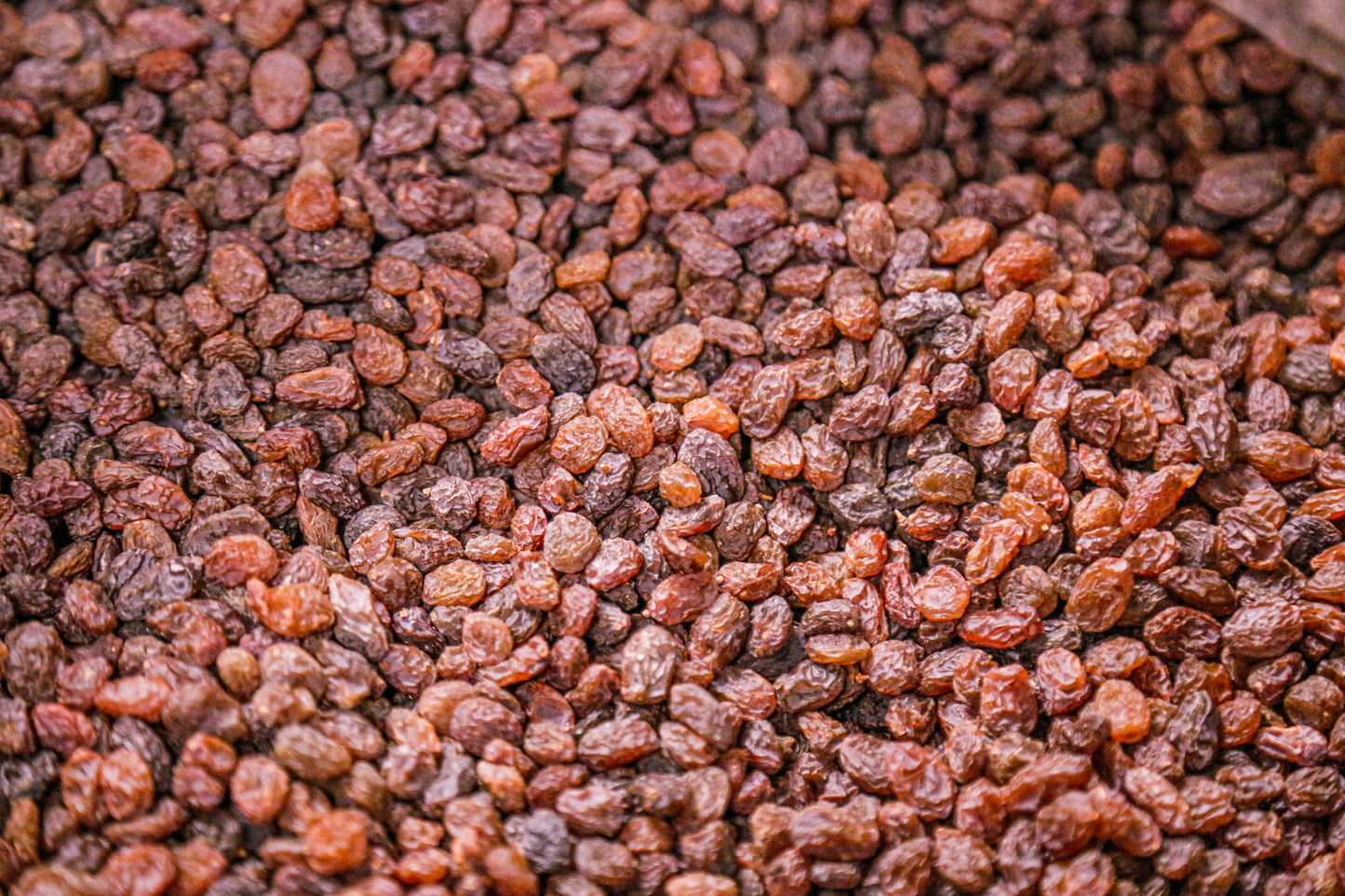 Dried Raisins