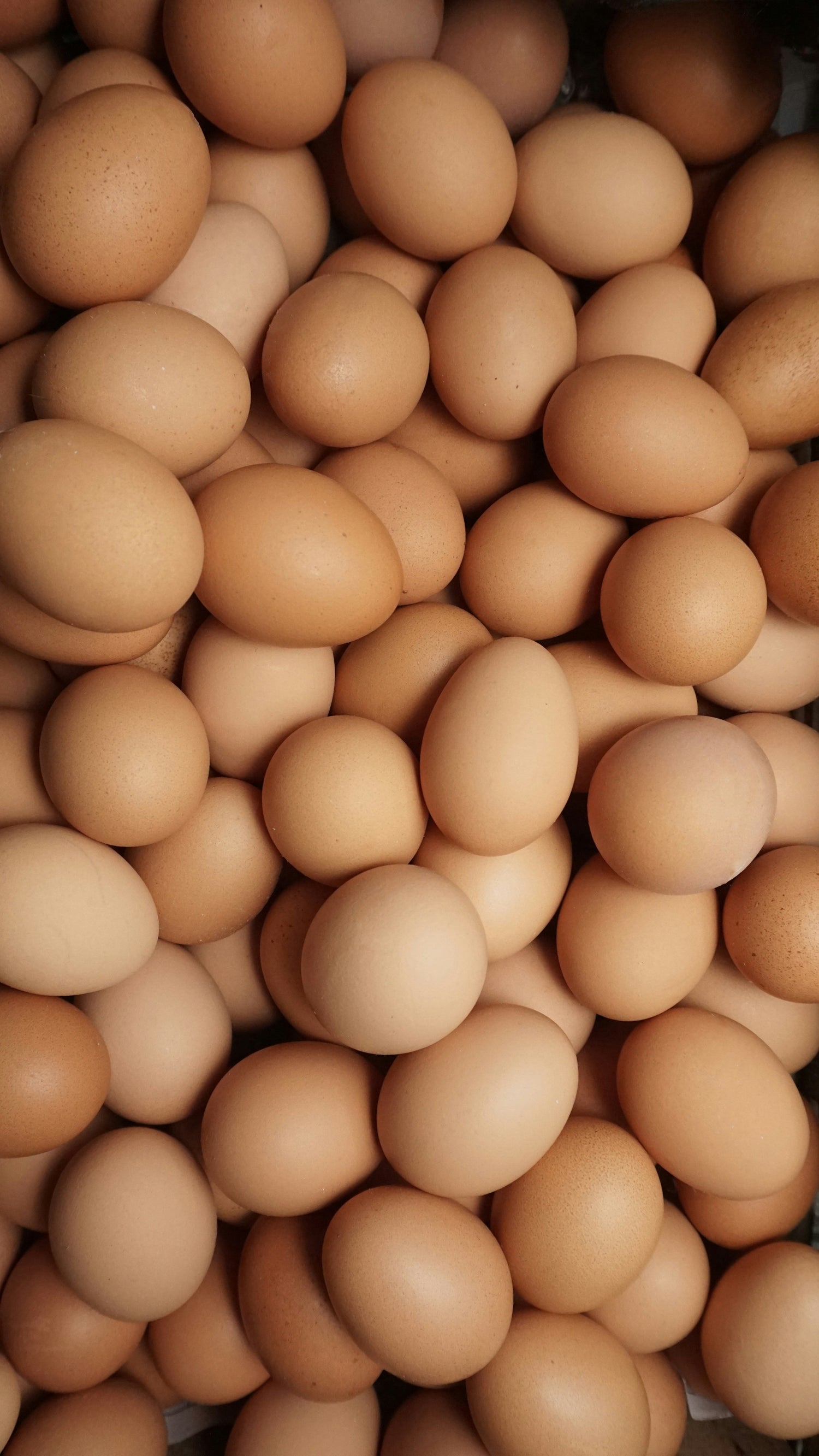 Eggs & Olives
