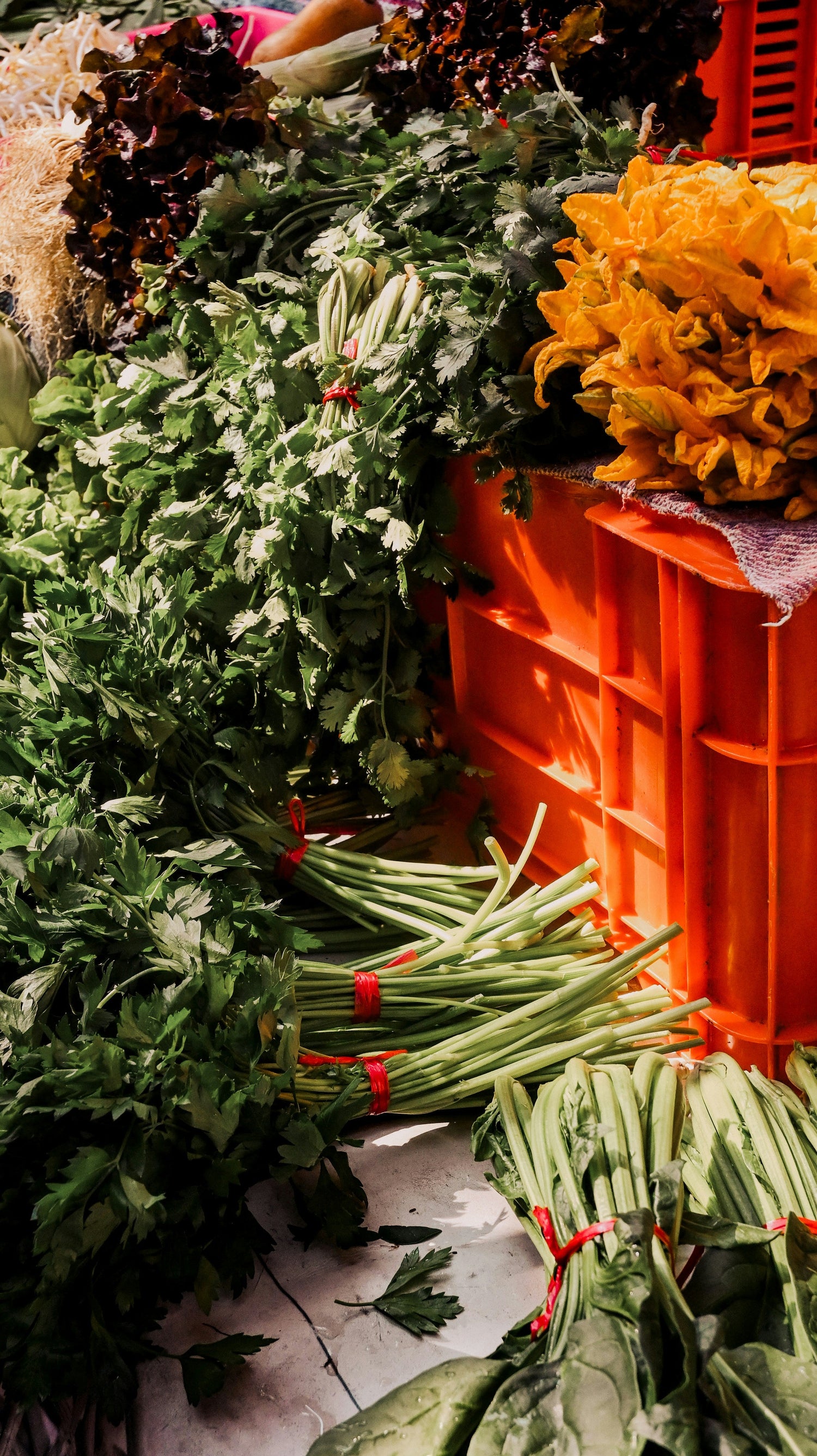 Herbs