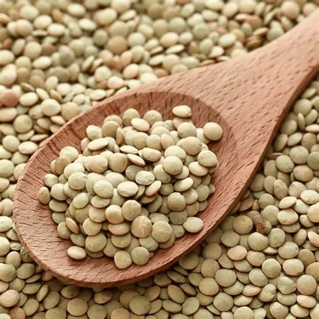 Lentil