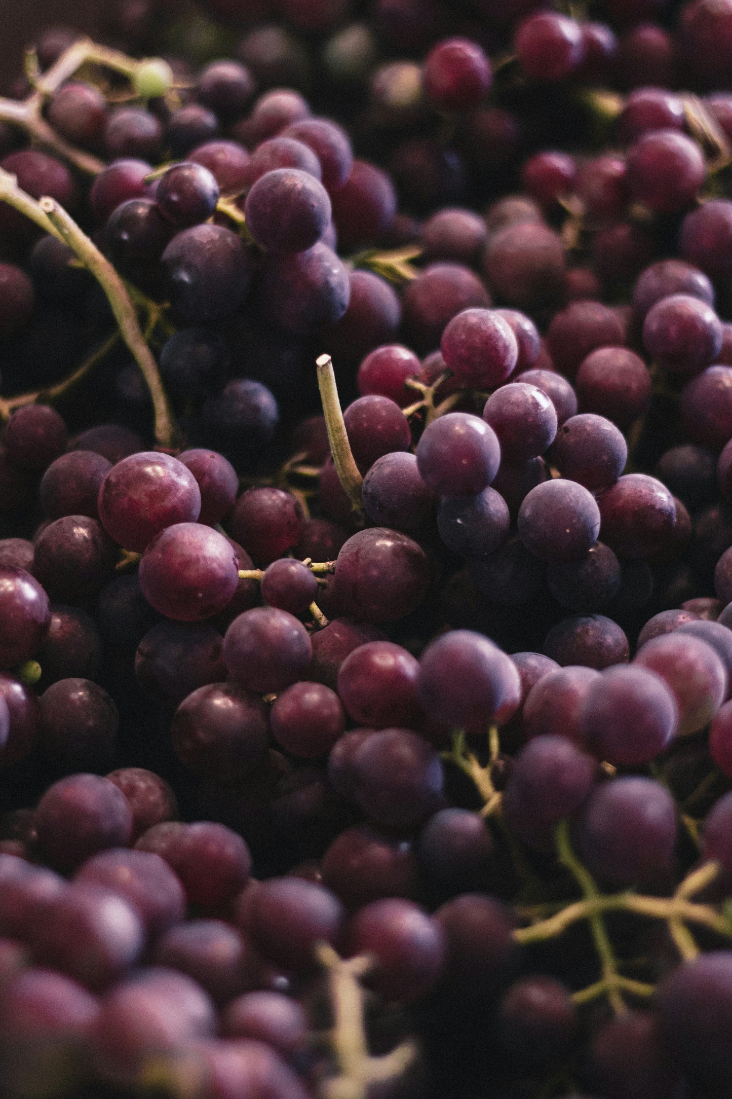 Grapes