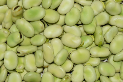Fava
