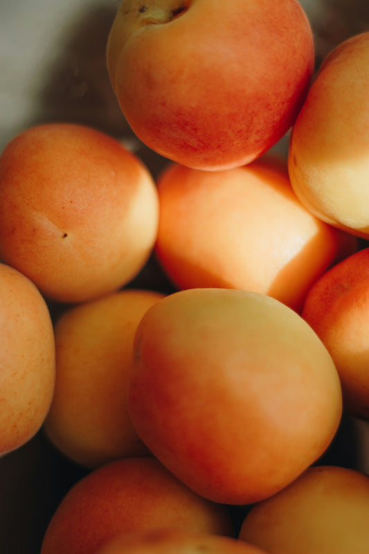 Apricot