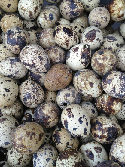 Fresh Quail Eggs