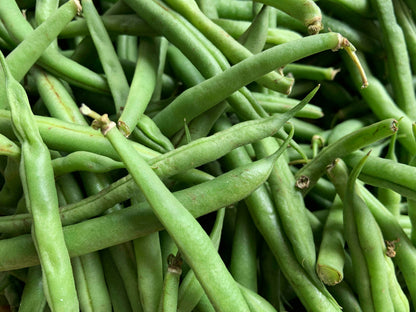 Fava