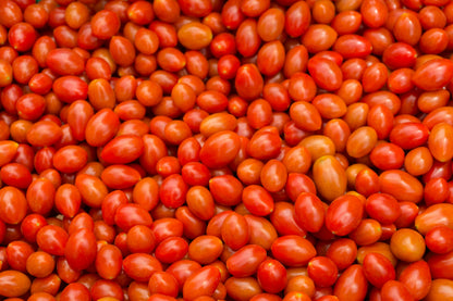 Cherry Tomato