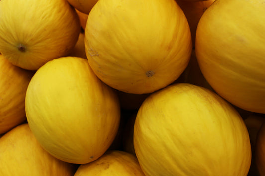 Yellow Melon