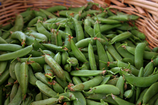 Pea