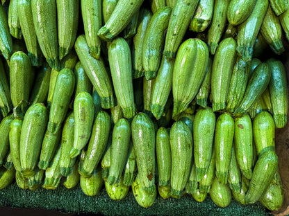 Zucchini