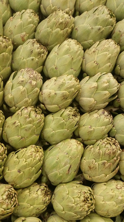 Artichoke