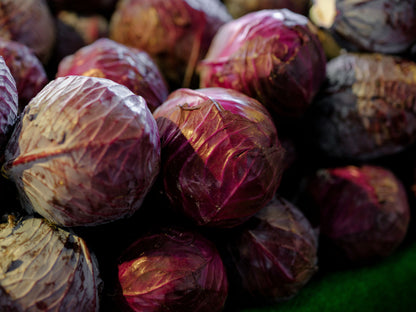 Cabbage