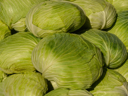 Cabbage
