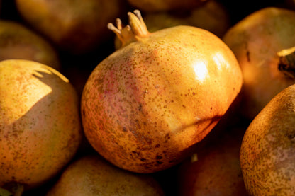 Pomegranate