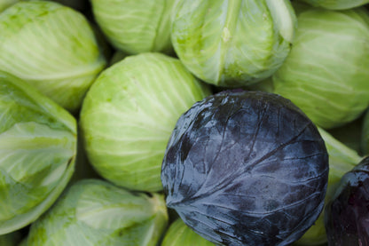 Cabbage