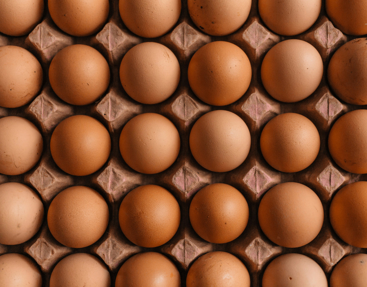 Fresh Eggs