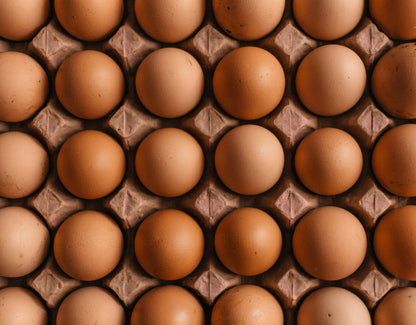 Fresh Eggs