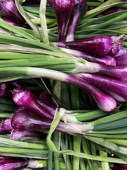 Shallot