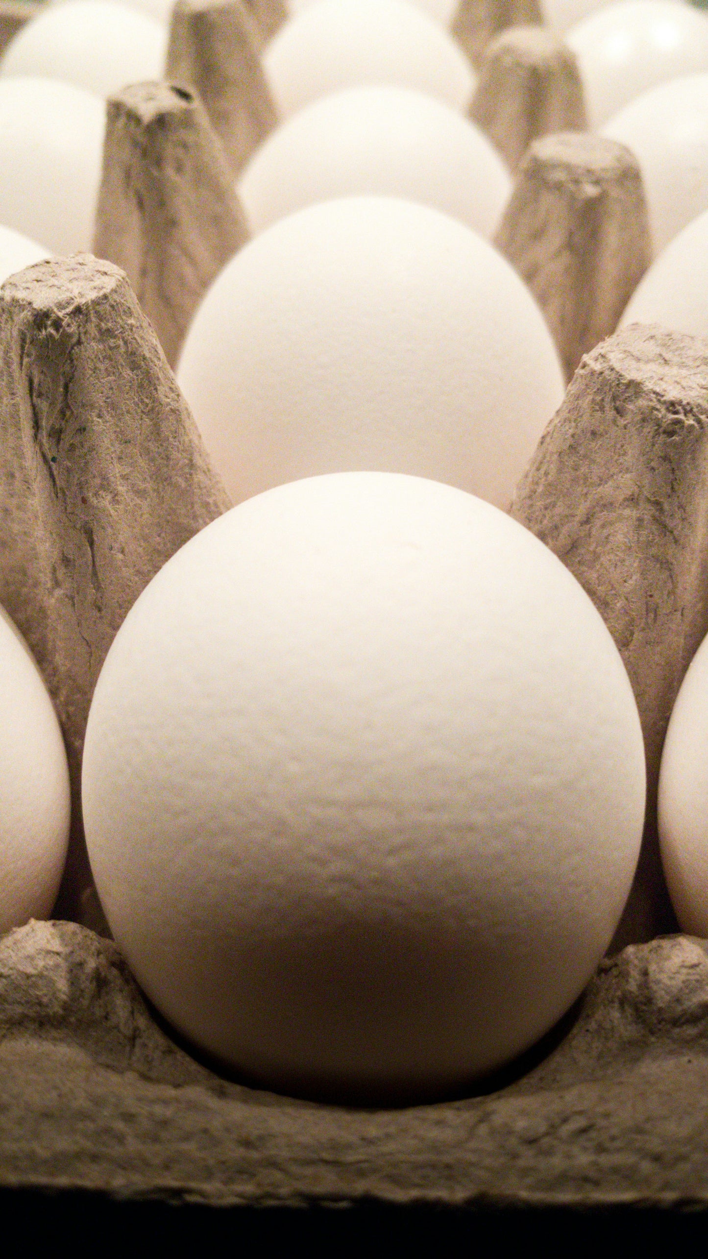 Fresh Eggs Beldi