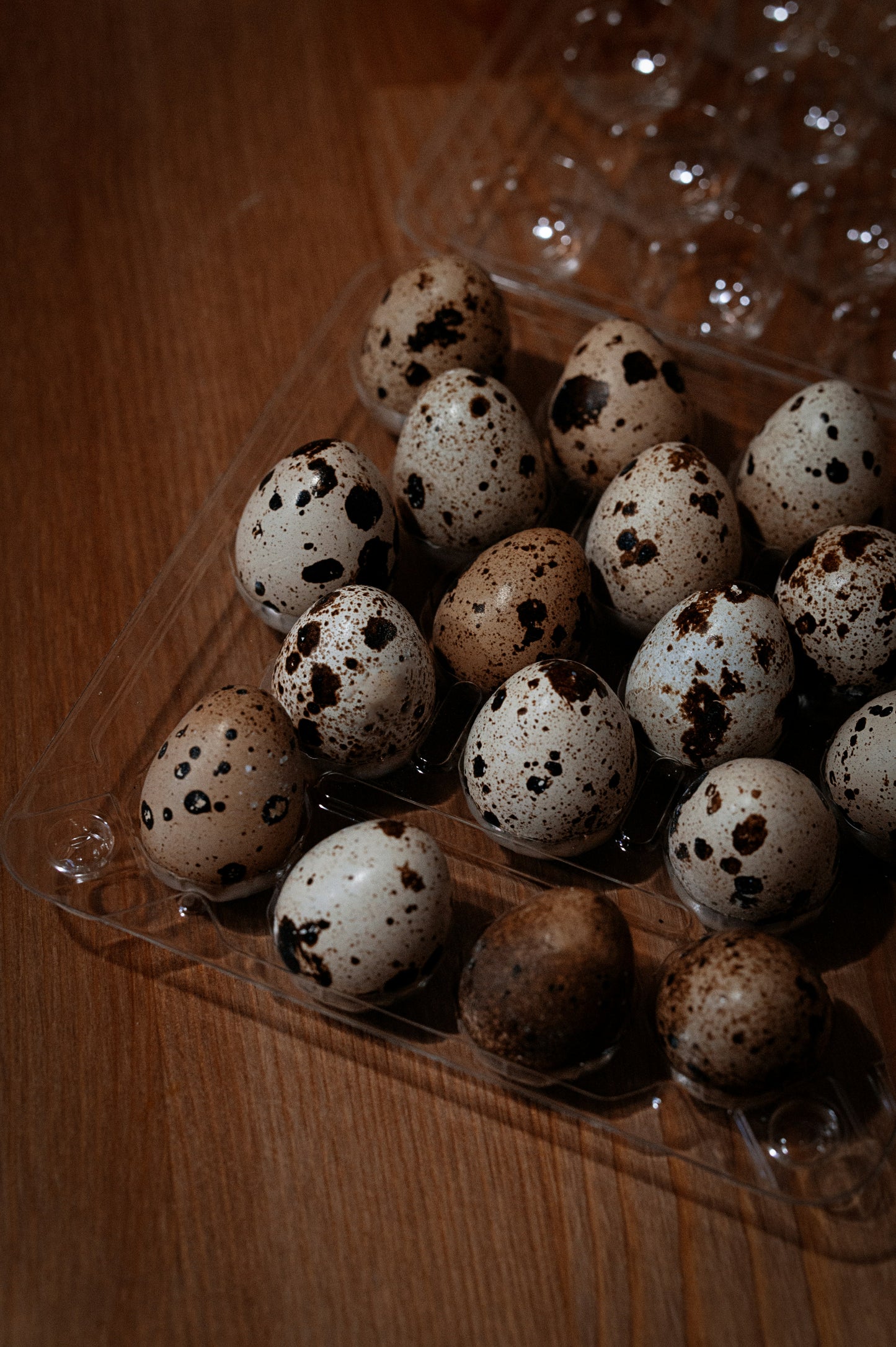 Fresh Quail Eggs