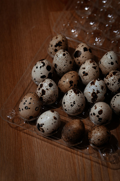 Fresh Quail Eggs