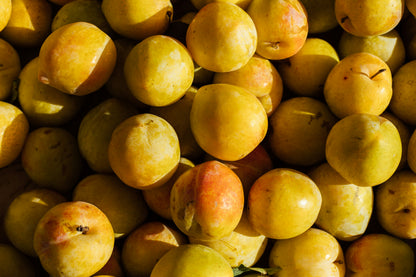 Plum