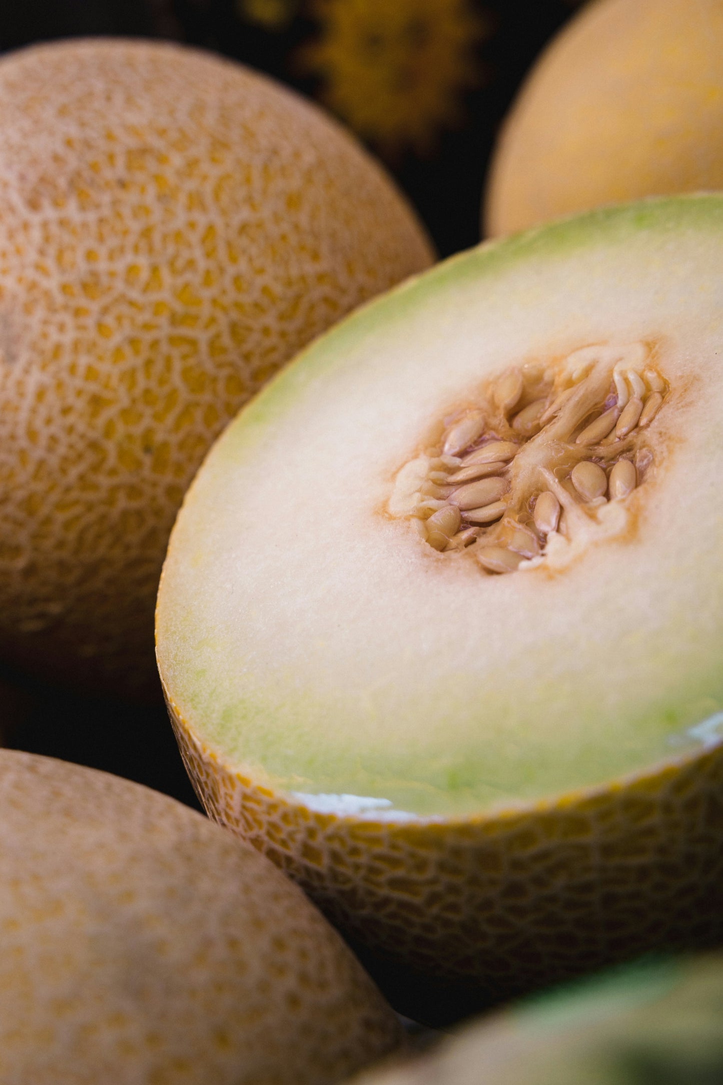 Green Melon