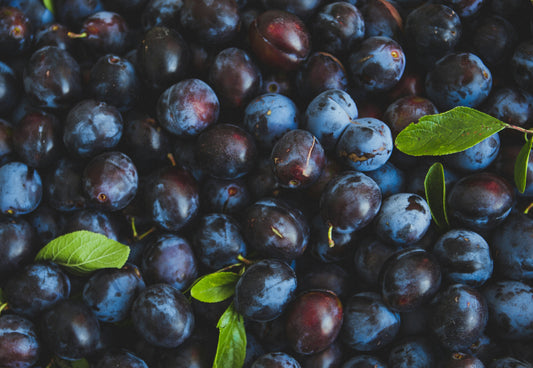 Plum