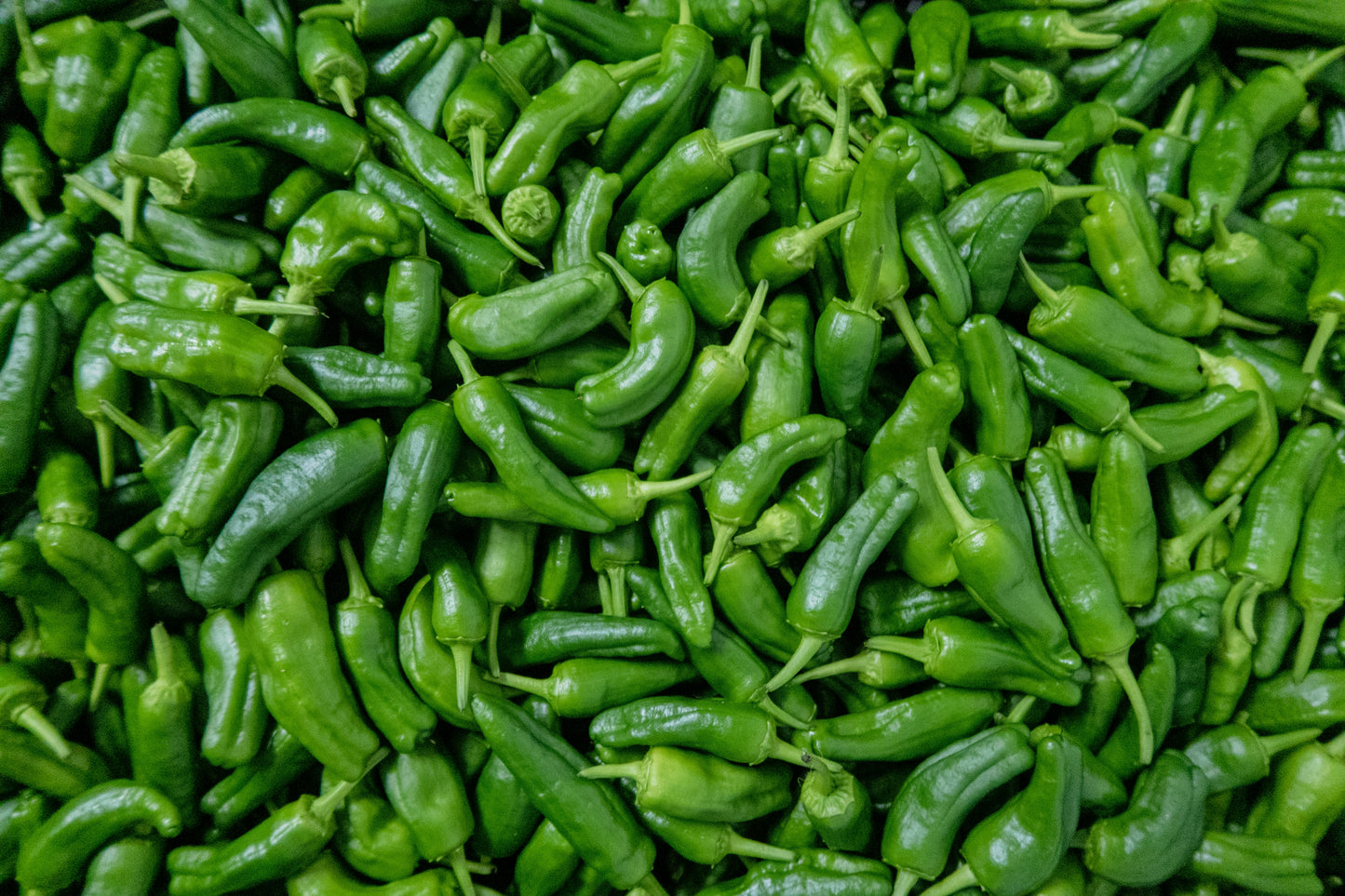 Pepper
