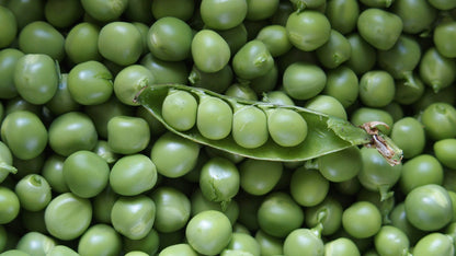 Pea