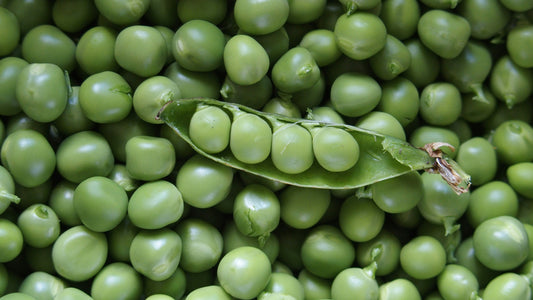 Pea