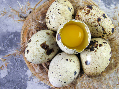 Fresh Quail Eggs
