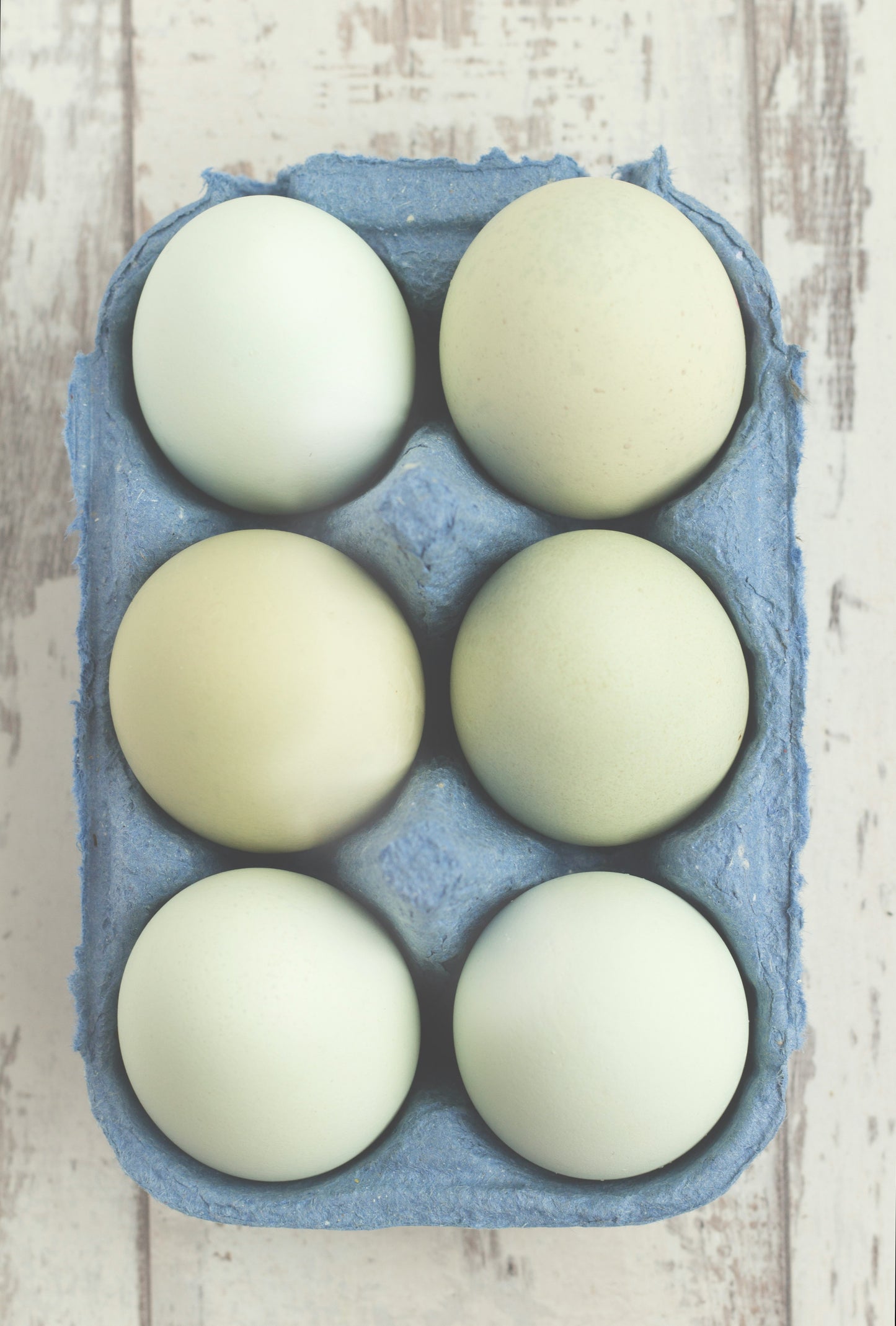 Fresh Eggs Beldi