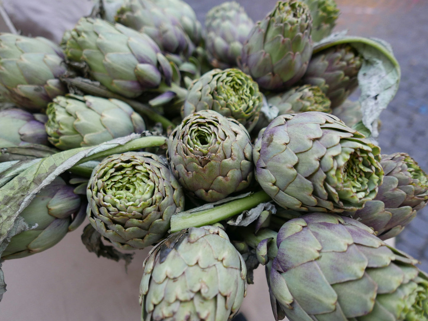 Artichoke