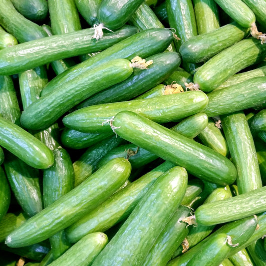 Cucumbre