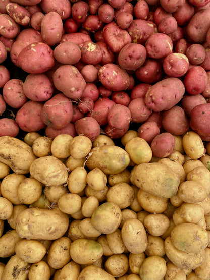 Potato