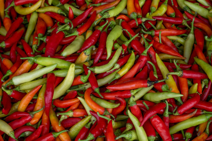 Chili pepper
