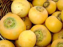 Turnip