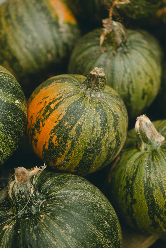 Round Zucchini