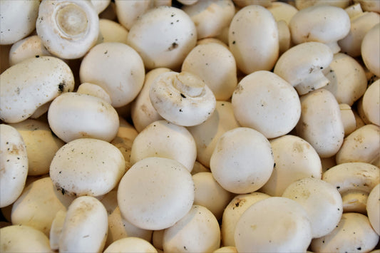 Mushroom