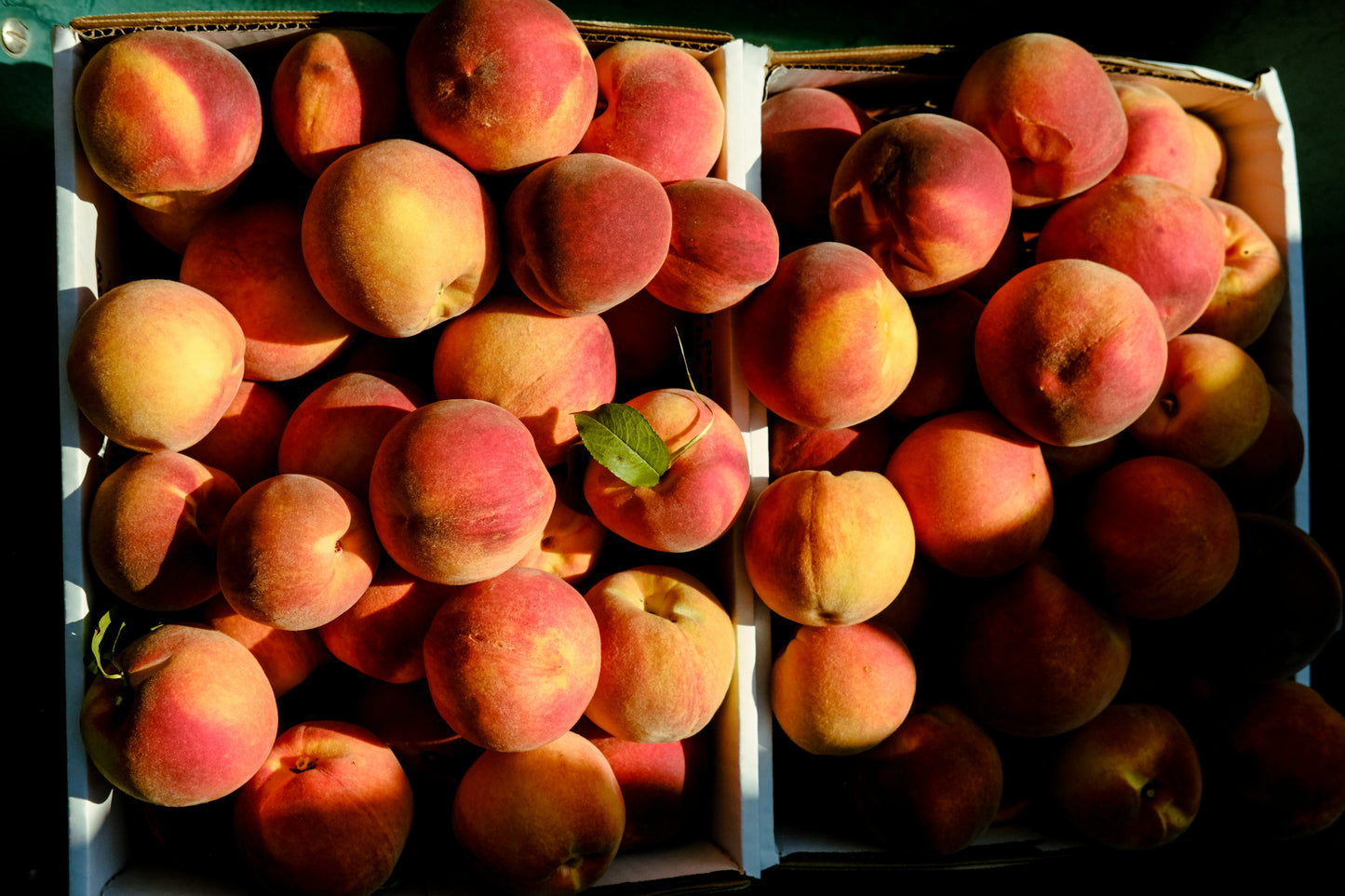 Peach