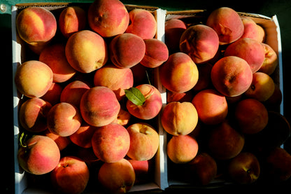 Peach
