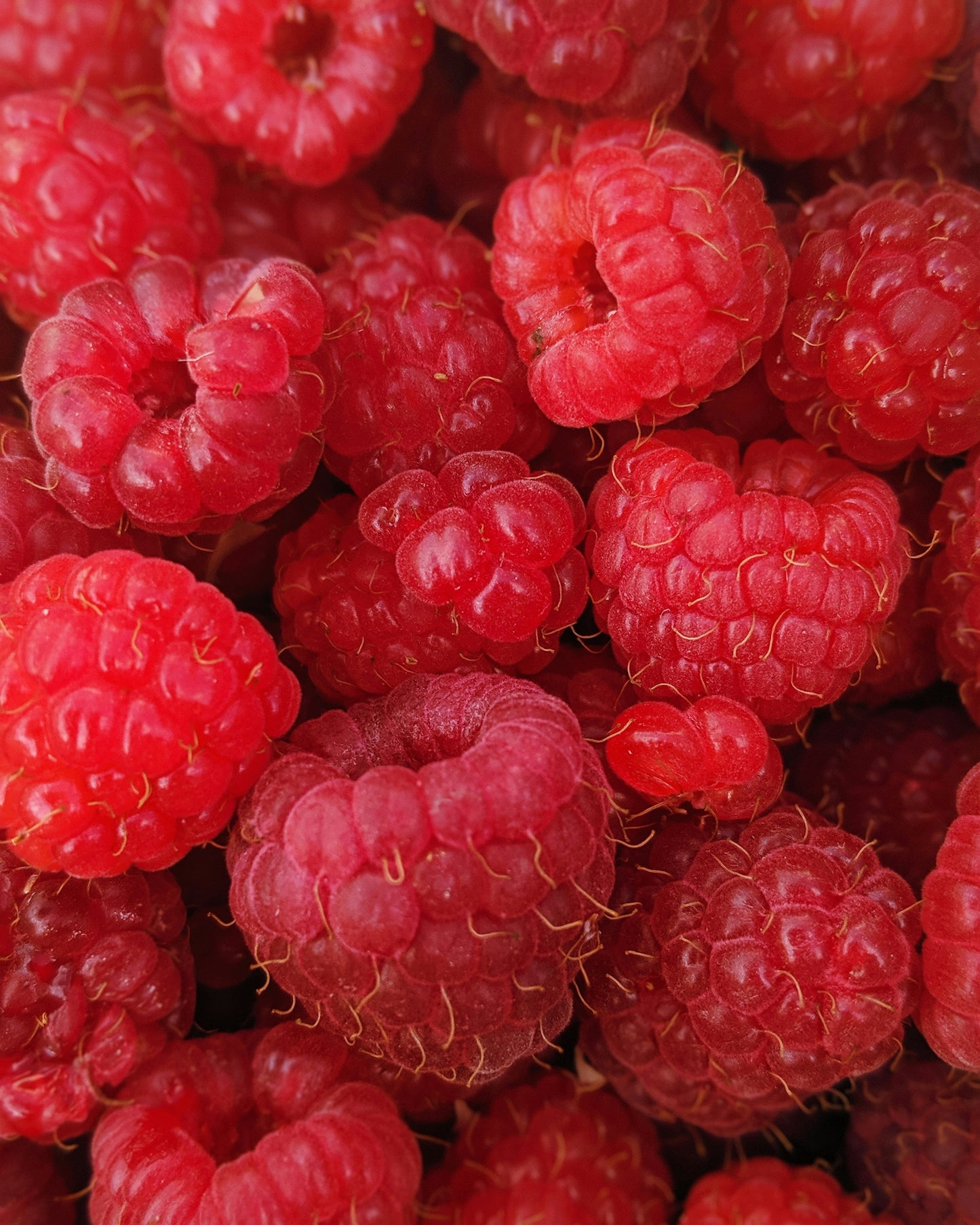 Raspberry