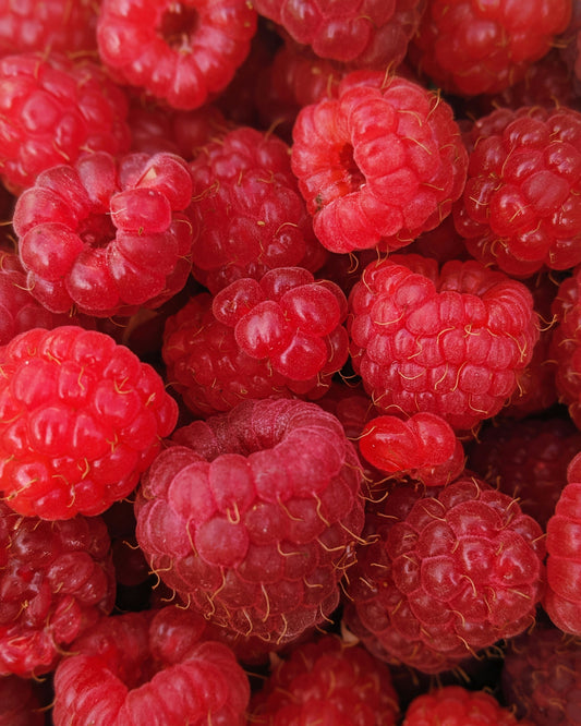 Raspberry