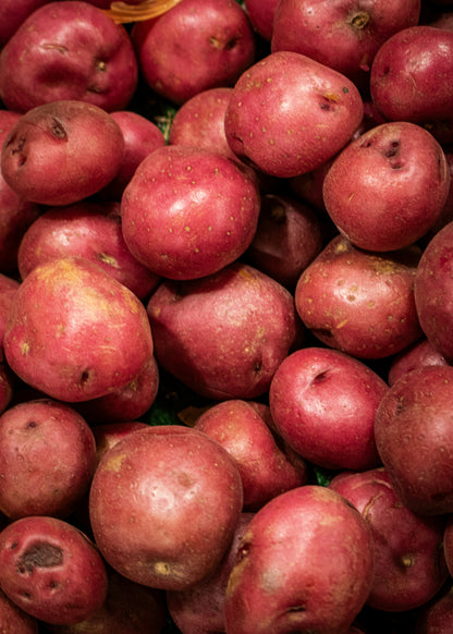 Potato
